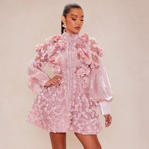 This is a Fashion Nova Raven Sheer Embroidered mini dress in the color rose.